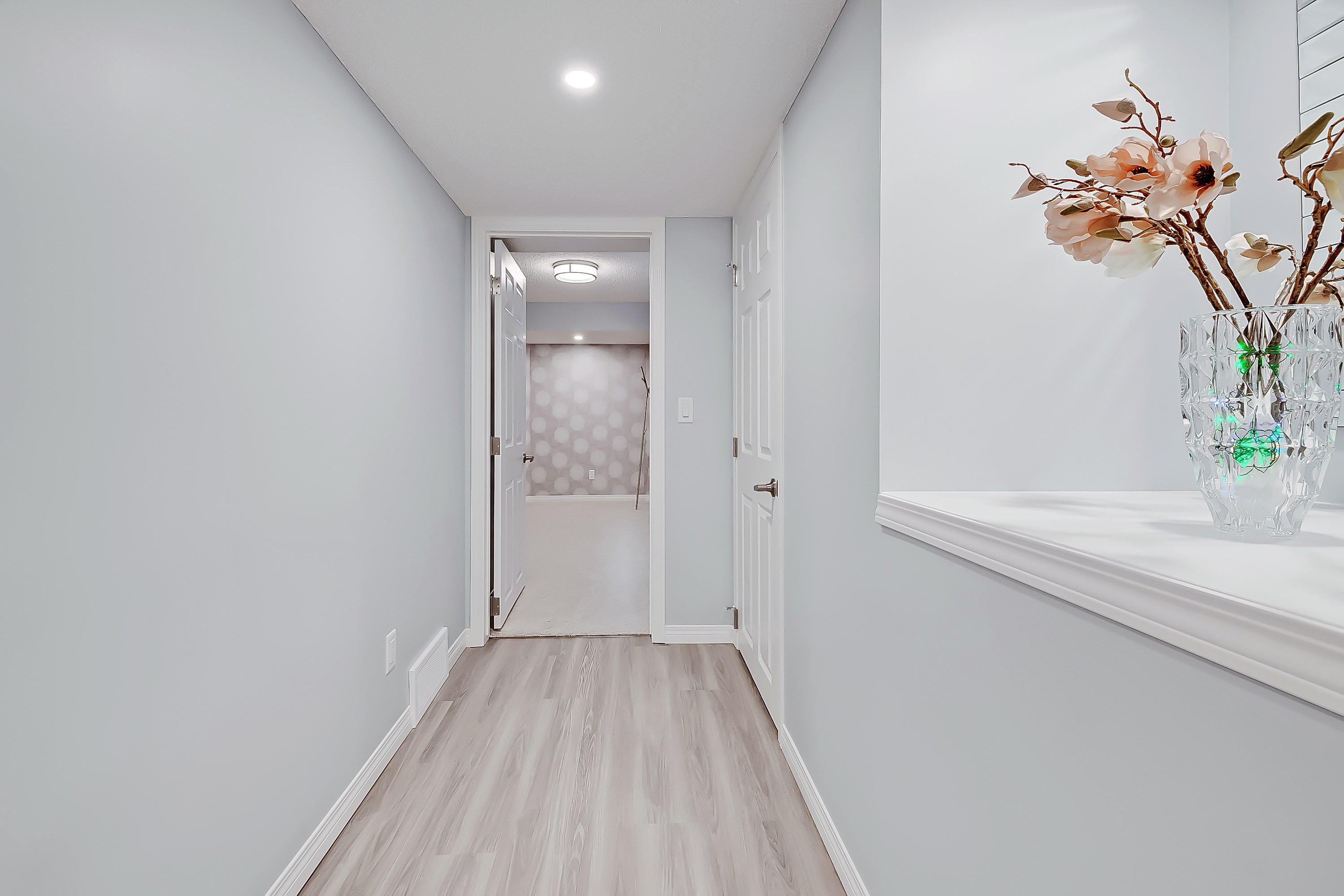 Elmont Court Basement Development 24 copy.jpeg
