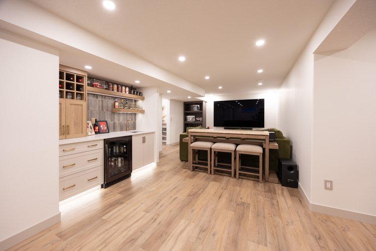 Basement Living room