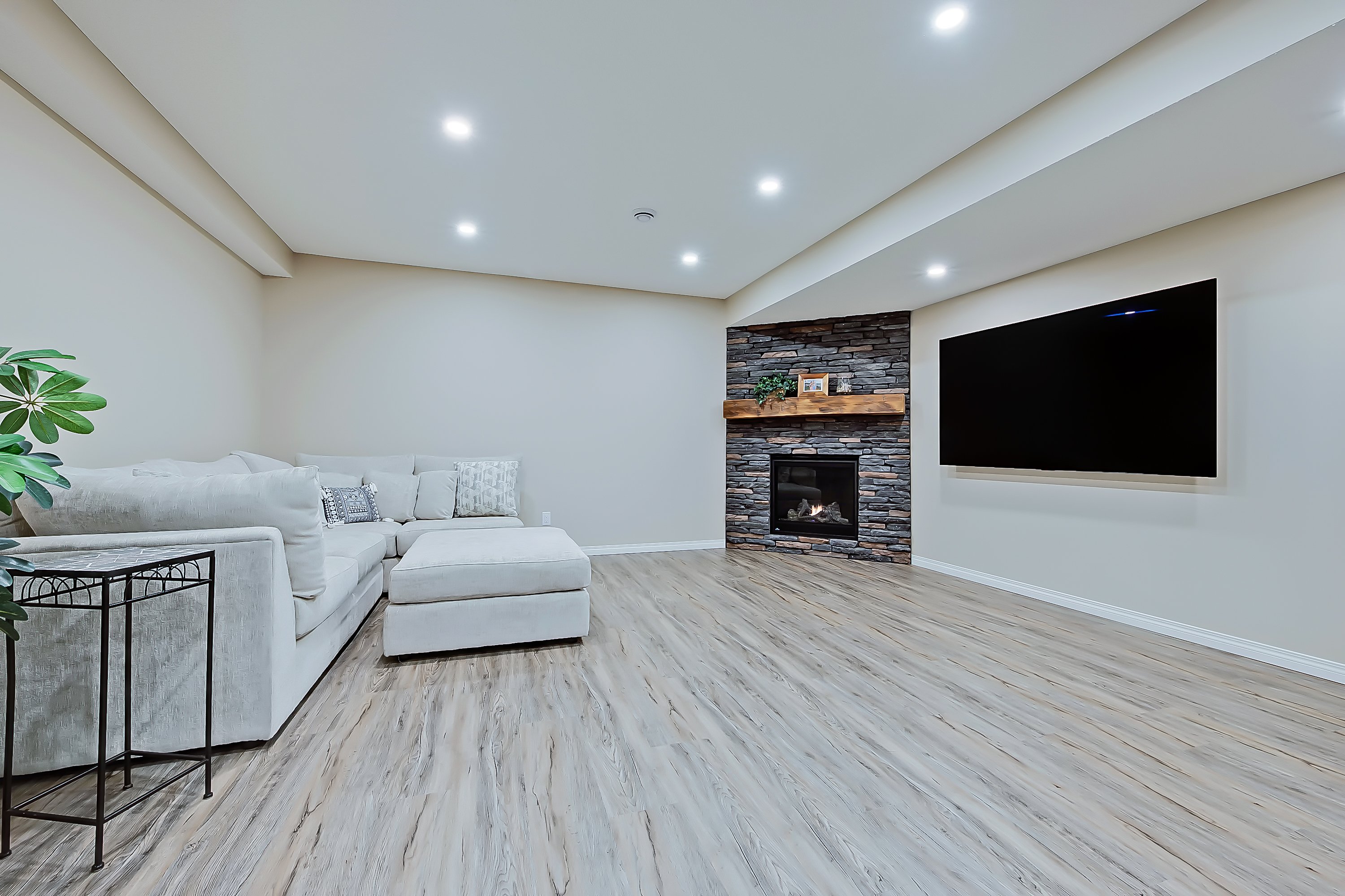 Cranleigh Manor Basement Development 3 copy.jpeg